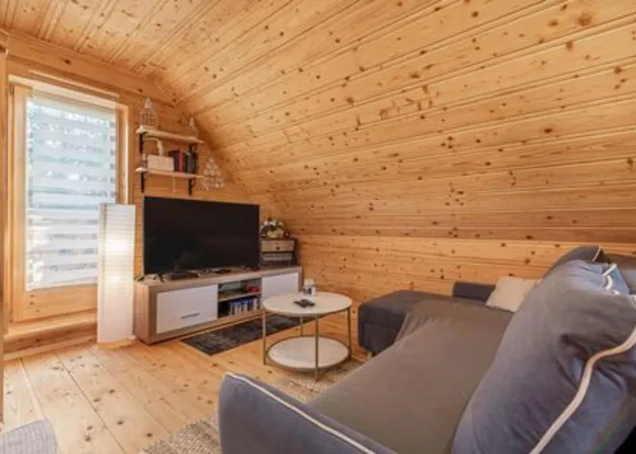 Log With Private Sauna Podčetrtek